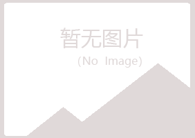 山西字迹咨询有限公司